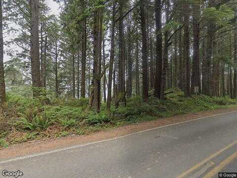 Ocean View, COPALIS BEACH, WA 98535