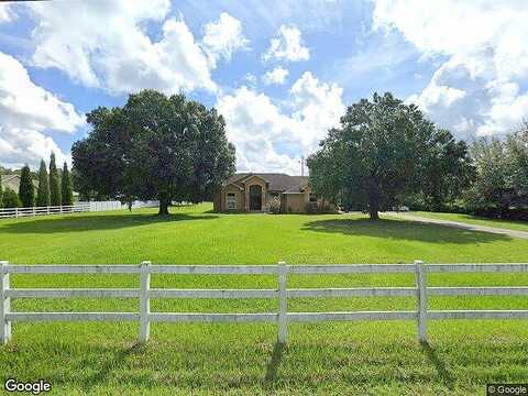 Brown, ODESSA, FL 33556