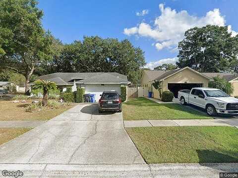 Tallowtree, VALRICO, FL 33594