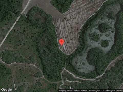 Forge Surf, LAND O LAKES, FL 34638