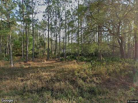 Seminole Run, OSTEEN, FL 32764