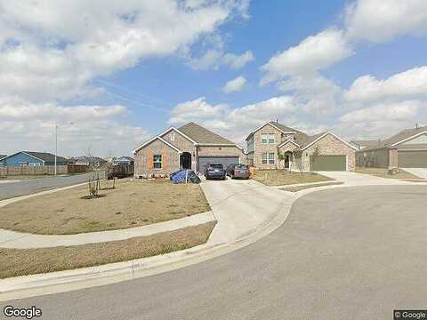 Pewter Luster, DEL VALLE, TX 78617