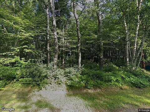 Wolf, CROSSLAKE, MN 56442