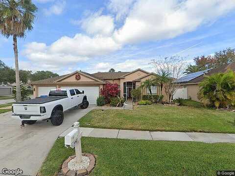 Stetson, WESLEY CHAPEL, FL 33543