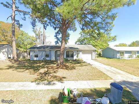 Dexter, PORT ORANGE, FL 32129