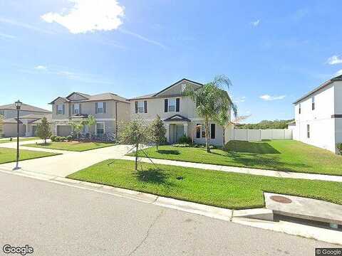 Wild Ginger, RIVERVIEW, FL 33579