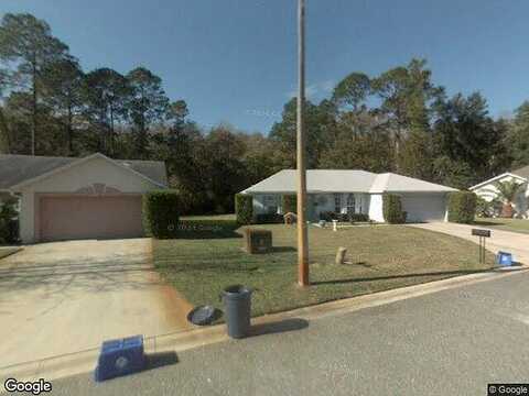 Viburnum, JACKSONVILLE, FL 32246
