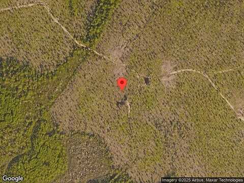 Pennekamp, INLET BEACH, FL 32461
