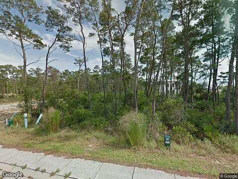 St Vincent, INLET BEACH, FL 32461