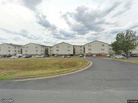 Ox, WOODSTOCK, VA 22664