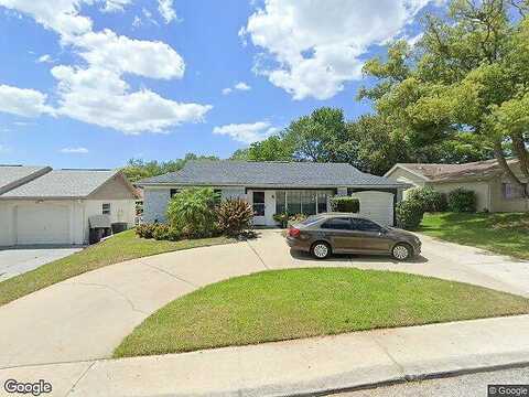 Gunstock, HUDSON, FL 34667