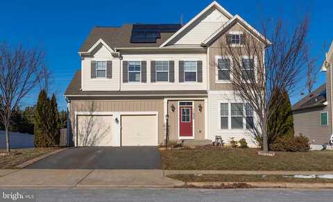 Blue Violet, BRISTOW, VA 20136
