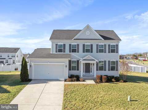 Andalusian, STEPHENS CITY, VA 22655