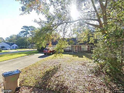 Pelican, RICHMOND HILL, GA 31324