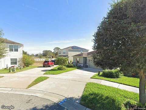 Willet, HAINES CITY, FL 33844