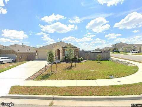 Dusted Daisey, PFLUGERVILLE, TX 78660