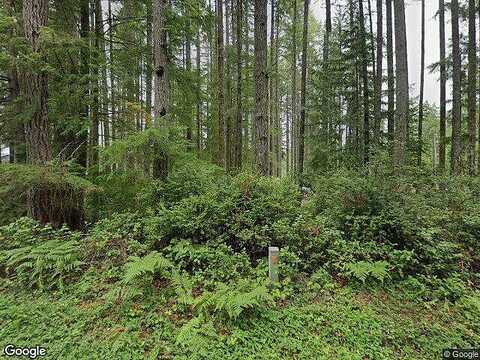 Mason Lake, GRAPEVIEW, WA 98546