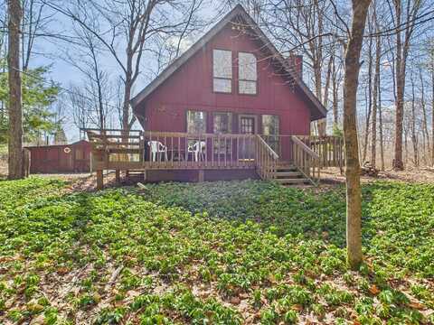 Blackberry, POCONO LAKE, PA 18347