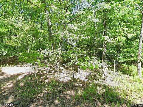 Piney Woods, JIM THORPE, PA 18229