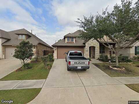 Tiger, KATY, TX 77493