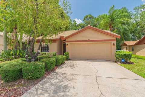 Darston, PALM HARBOR, FL 34685