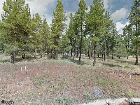 Raven, WILLIAMS, AZ 86046