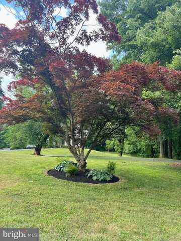 Prosperity, FAIRFAX, VA 22031