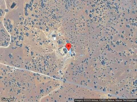 Aoudad, ANDERSON, CA 96007