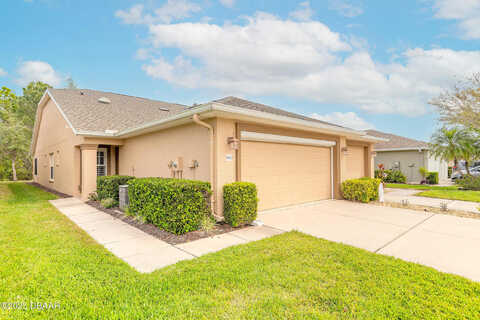 Areca Palm, PORT ORANGE, FL 32128