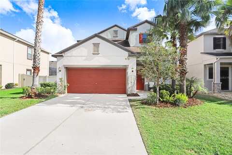 Tallulah, WESLEY CHAPEL, FL 33543