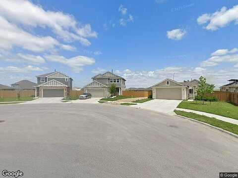 Arabian Colt, GEORGETOWN, TX 78626