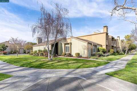 Island, ALAMEDA, CA 94502