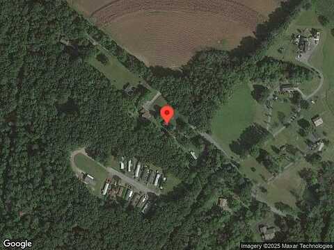White Birch, ORWIGSBURG, PA 17961
