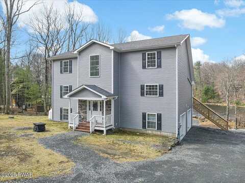 Chokeberry, MILFORD, PA 18337