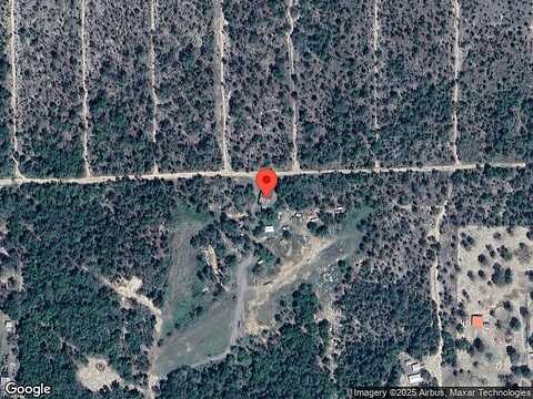 Carolina, HAWTHORNE, FL 32640