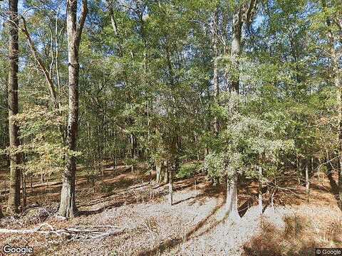 Gordy Mill Pond, CUSSETA, GA 31805