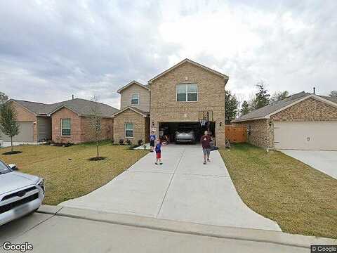 Nala Bear, HOCKLEY, TX 77447
