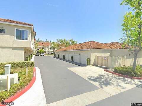 Cinnamon Teal, ALISO VIEJO, CA 92656