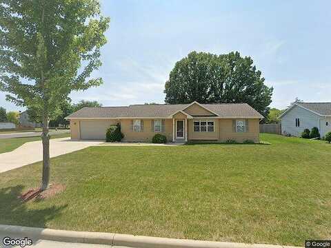 Gadwall, GREEN BAY, WI 54311
