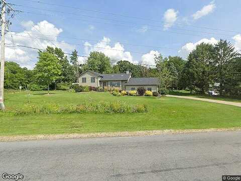 Timber, CROSS PLAINS, WI 53528