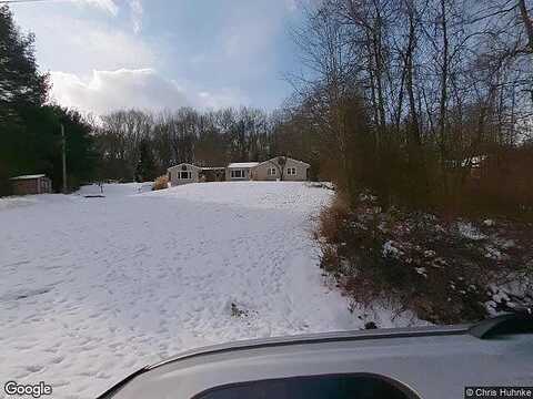 Shadow, SHARPSVILLE, PA 16150