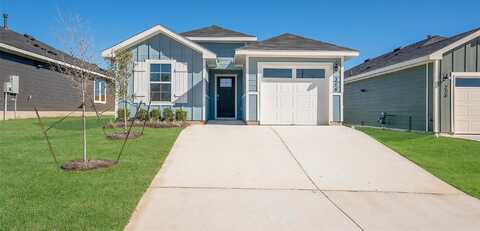 Celosia Loop, Uhland, TX 78640