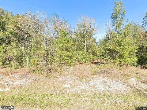 Se 159Th Ln, Summerfield, FL 34491