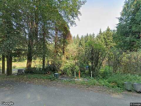 State Route Us-101, Naselle, WA 98638