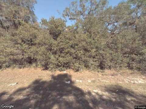 Saffron Ave, Eustis, FL 32736