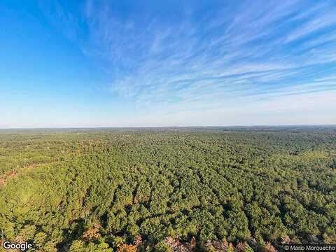 Williams Trail Dr, Willis, TX 77378