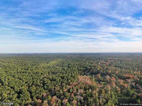 Williams Trail Dr, Willis, TX 77378