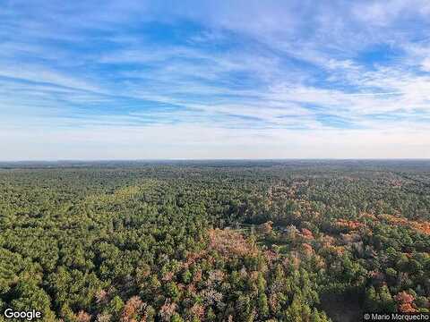 Williams Trail Dr, Willis, TX 77378