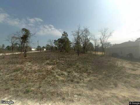 Eskimo Curlew Rd, Weeki Wachee, FL 34614