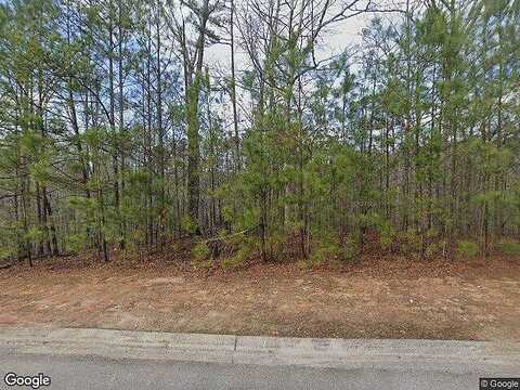 Willow Leaf Dr, Buchanan, GA 30113